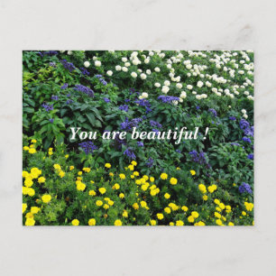 You are beautiful Garden Photo Postcard