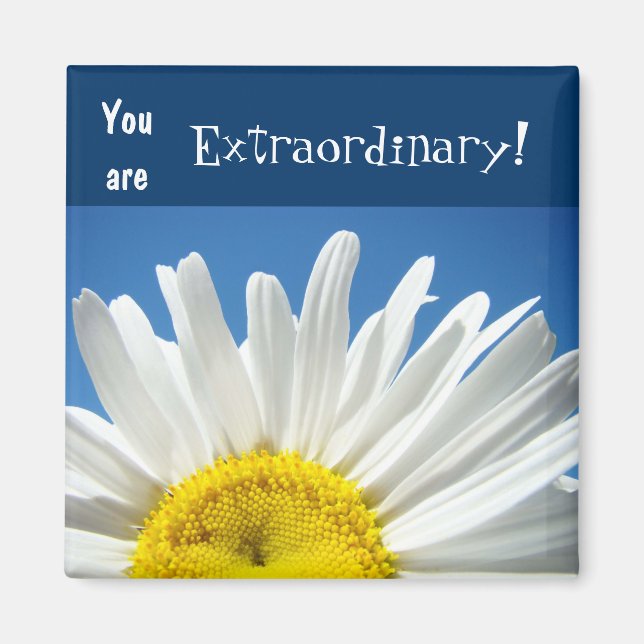 You are Extraordinary! magnets Blue Sky Daisy (Front)