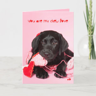 You are my Chew Love Black Lab Valentine Holiday Card