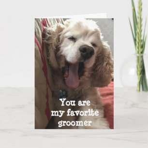 YOU ARE MY FAVORITE *GROOMER** BIRTHDAY CARD