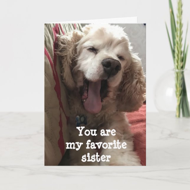 YOU ARE MY FAVORITE ***SISTER**** BIRTHDAY CARD (Front)