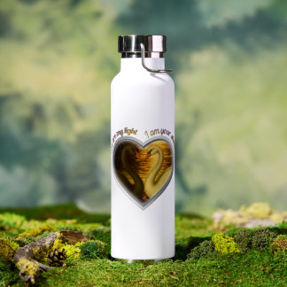 You Are My Light I Am Your Shadow Swan Lake Lovers Water Bottle