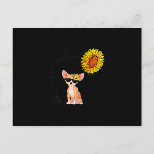 You Are My Sunshine Chihuahua Sunflower Chiahuahua Postcard