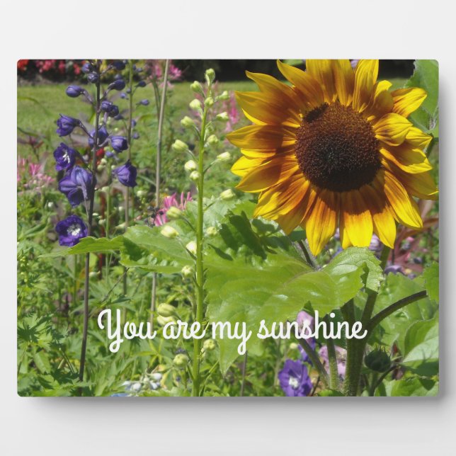 You Are My Sunshine Plaque (Front)