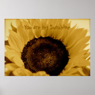 You Are My Sunshine Poster