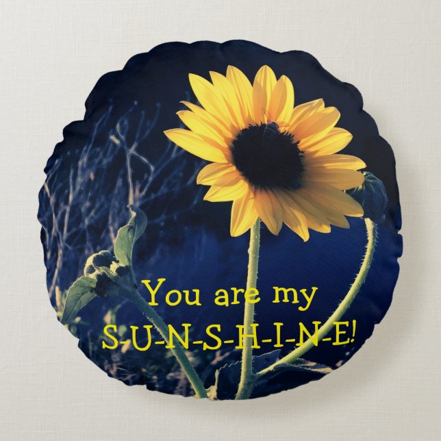 You are my Sunshine! Round Pillow (Front)