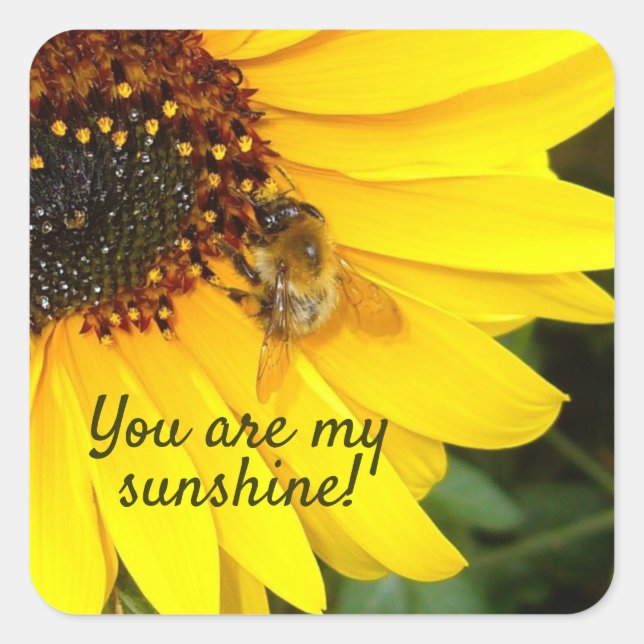 You are my Sunshine, Sunflower Square Sticker (Front)