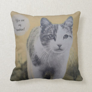 You Are My Sunshine! Throw Pillow