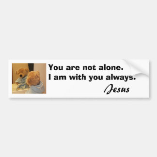 You are not alone Bumper sticker