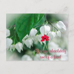 You Are One-of-a-kind Postcard