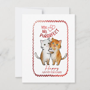 You are Purrfect Anniversary Greetings Holiday Card