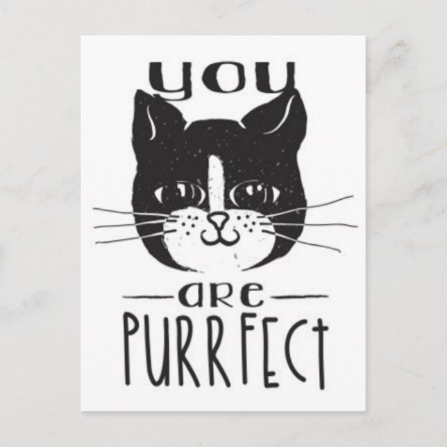 You Are Purrfect Postcard (Front)