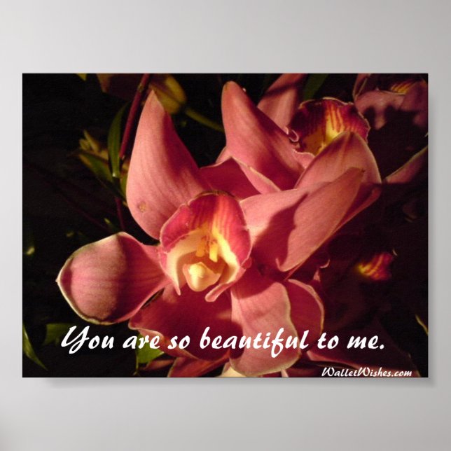You are so beautiful to me. poster (Front)
