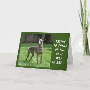 YOU ARE "SPECIAL" AND SO IS "YOUR BIRTHDAY" CARD