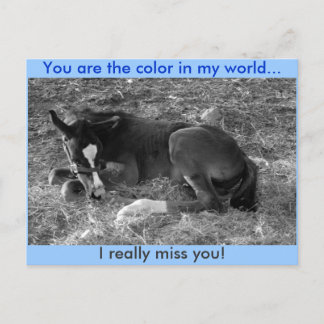 You are the colour in my world postcard