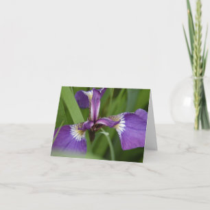 You are vibrant today greeting card
