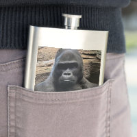 YOU BIG GORILLA