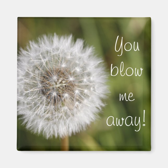 You blow me away! magnet (Front)