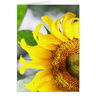 You bright up my life