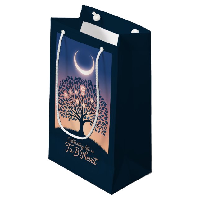 You B'Shevat: A Radius of Light Small Gift Bag (Front Angled)
