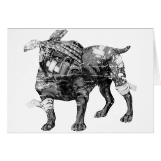 You can always bite back