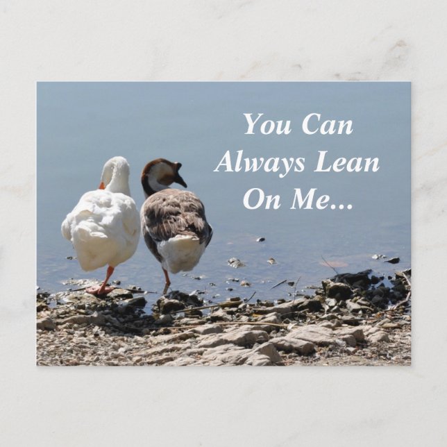 You Can Always Lean On Me Postcard (Front)
