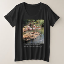 You can be my Flamingo, ... Women's Black