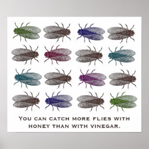You can catch more flies with honey than vinegar poster