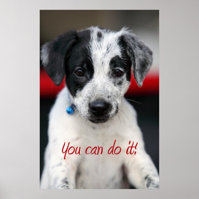 You can do it! poster (Front)