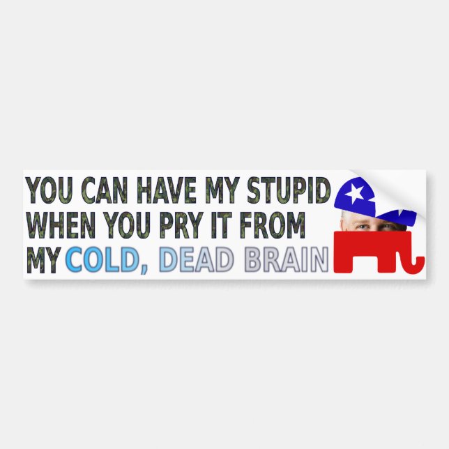 You Can Have My Stupid... Bumper Sticker (Front)