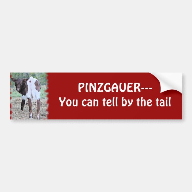 You can tell bumpersticker-customize bumper sticker (Front)