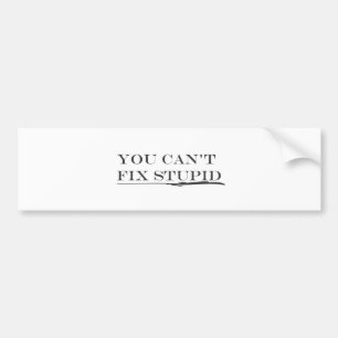 You can't fix.ai bumper sticker