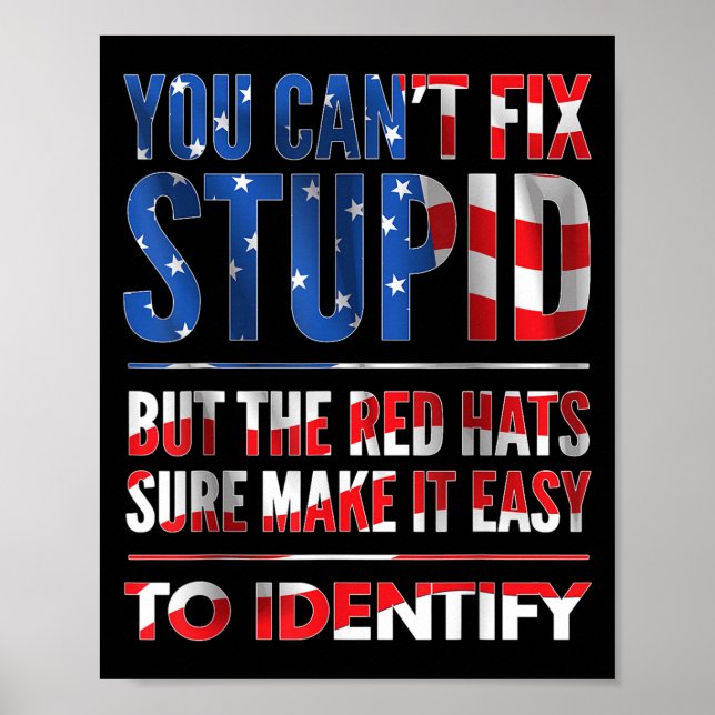 You Can't Fix Stud But The Hats Sure Make It Easy  Poster (Front)