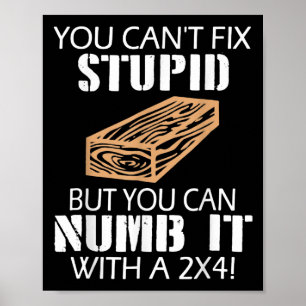 You Can't Fix Stud But You Can Numb It With A 2x4  Poster