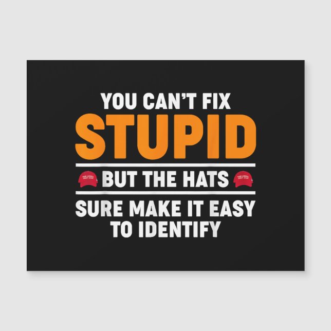 You Can't Fix Stupid But The Hats Sure Make It Eas (Front)