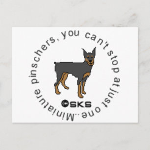 You can't have just one - miniature pinscher postcard