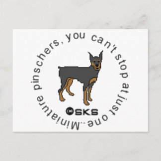You can't have just one - miniature pinscher postcard