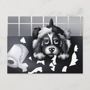 You Can't Prove Anything: Postcard