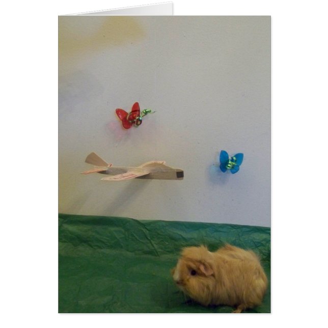 You fill my life with whimsy (Front)