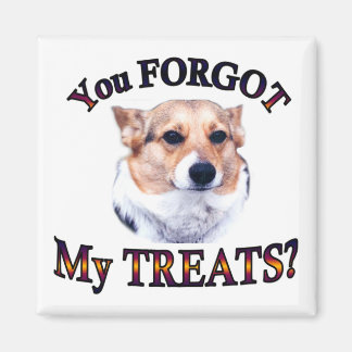 You FORGOT my treats Magnet