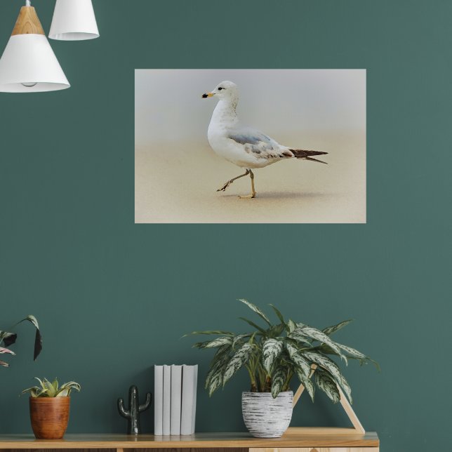 You Go Gull Sea Bird Beach Art Neutral Poster (Living Room 1)