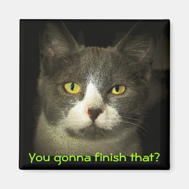 You gonna finish that? Hungry Kitty Magnet (Front)