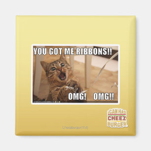 You got me ribbons!! magnet