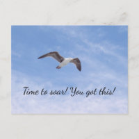 You got this Beautiful Bird Flying Motivational