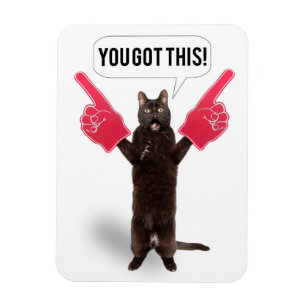 You Got This Encouragement Cat Cheering Holiday C Magnet