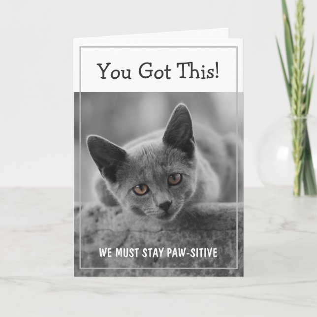 You Got This! We Must Stay Paw-sitive Card (Front)