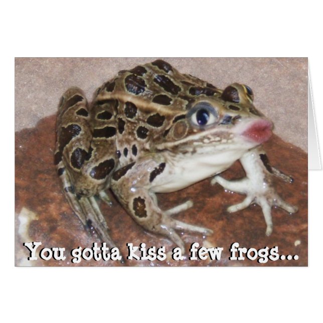 You Gotta kiss a few Frogs (Front Horizontal)
