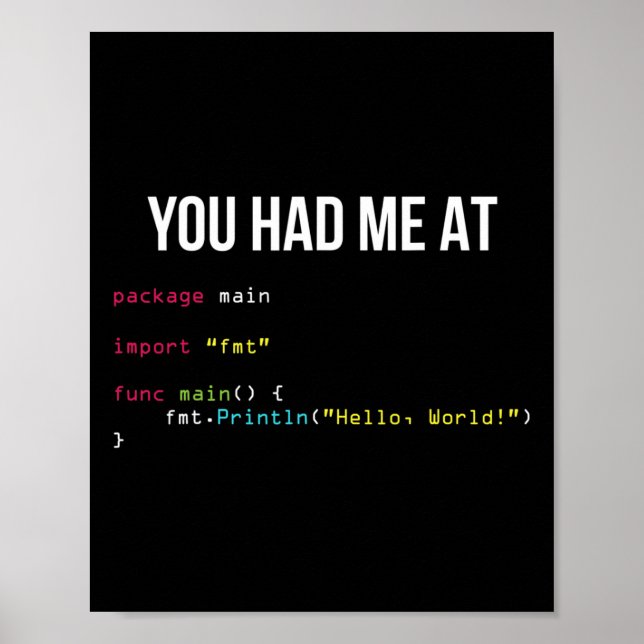 You Had Me At Hello World Coding Cool Gaming Chris Poster (Front)