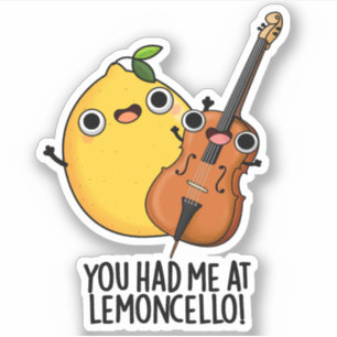 You Had Me At Lemon-cello Funny Drink Pun 
