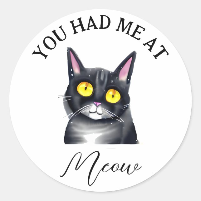 You Had Me at Meow Classic Round Sticker (Front)
